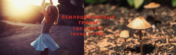 apvp Богородск