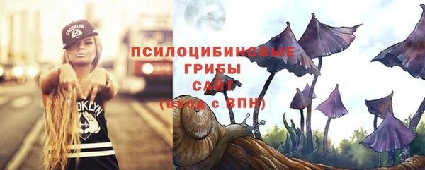 прущие грибы Белоозёрский